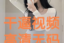 干比视频,揭秘现代职场沟通的艺术与技巧